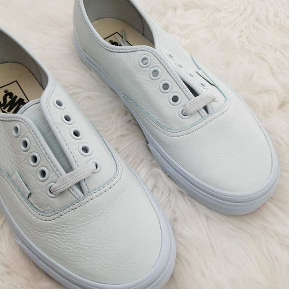 vans authentic ice flow